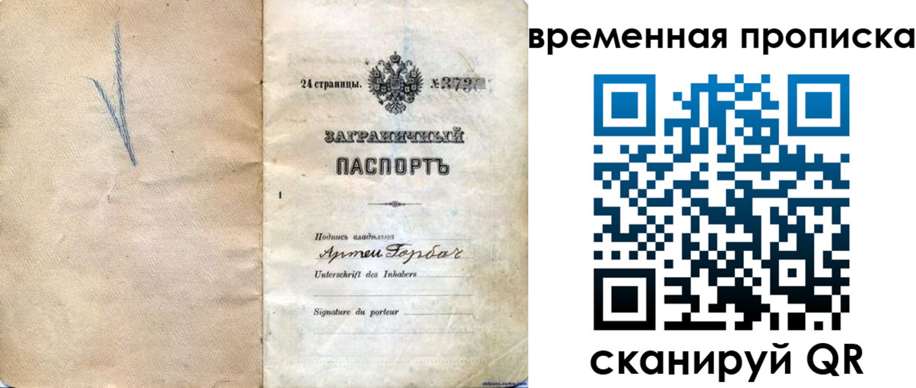 прописка поиск в Курске